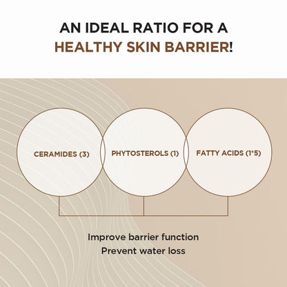 SKIN 1004 Madagascar Centella Probio-Cica Intensive Ampoule 95ml